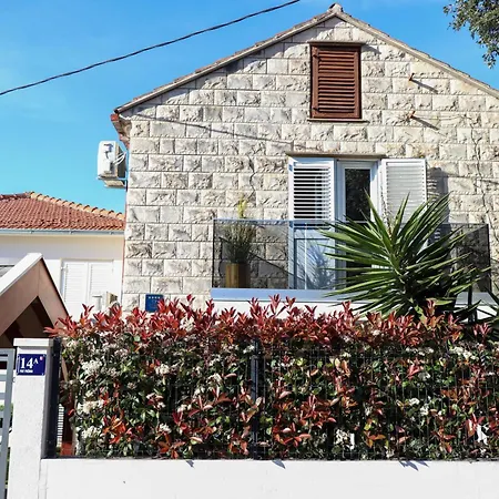 Persea -